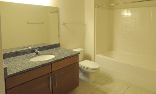 Jackson-Square-Bathroom1.jpeg