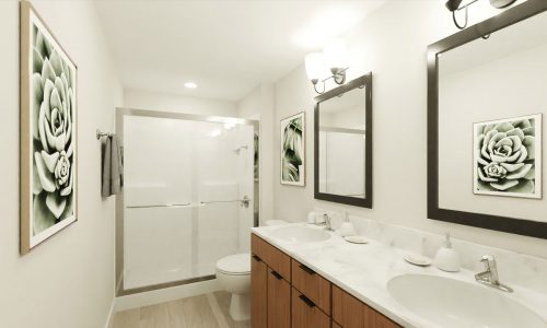 Loomis-Crossing-bathroom-render-1920x1080-1